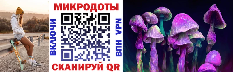 Галлюциногенные грибы Magic Shrooms Стародуб