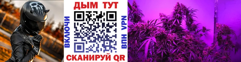 сайты даркнета как зайти  Стародуб  Бошки марихуана AK-47  mega ONION 